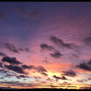 Meet your Posher, Bailey